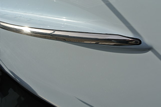 rvs-stootstrip.jpg